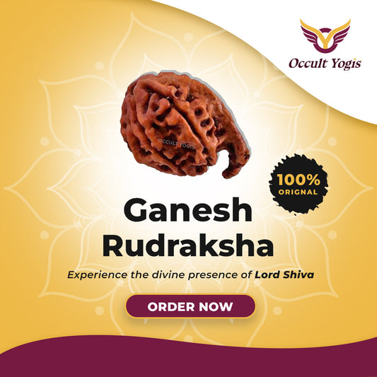Ganesh Rudraksha