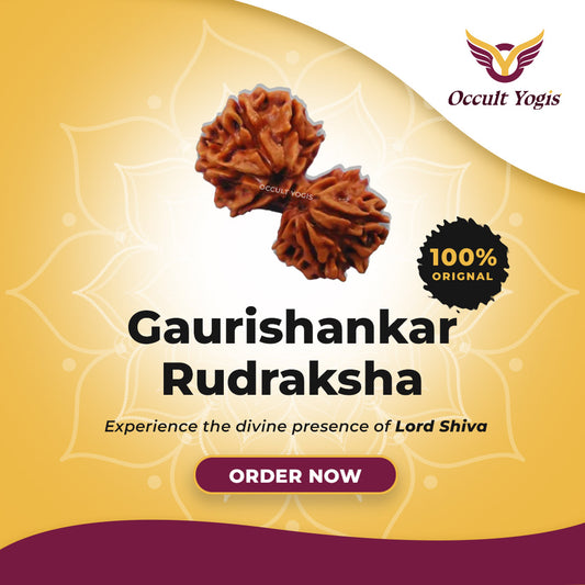 Gauri Shankar Rudraksha