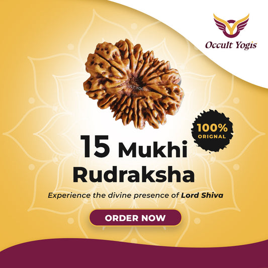 15 Mukhi Rudraksha