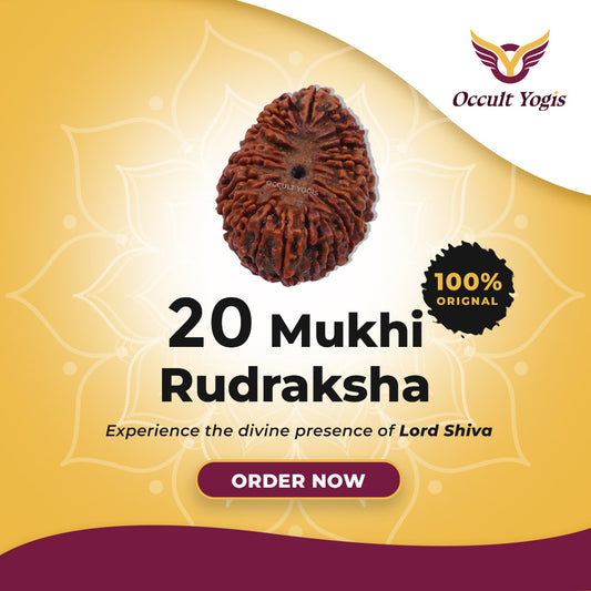 20 Mukhi Indonesian Rudraksha