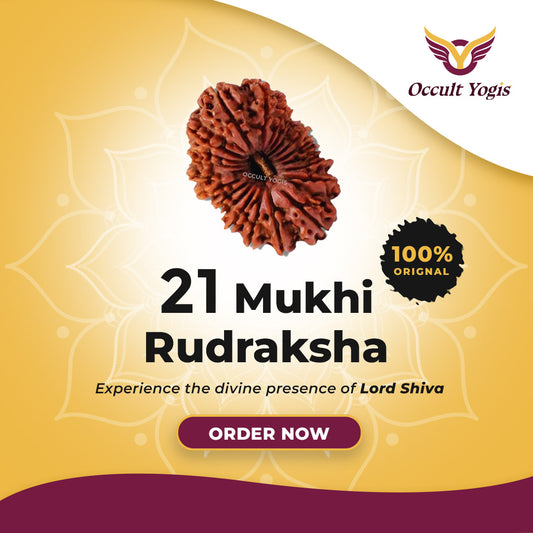 21 Mukhi Indonesian Rudraksha