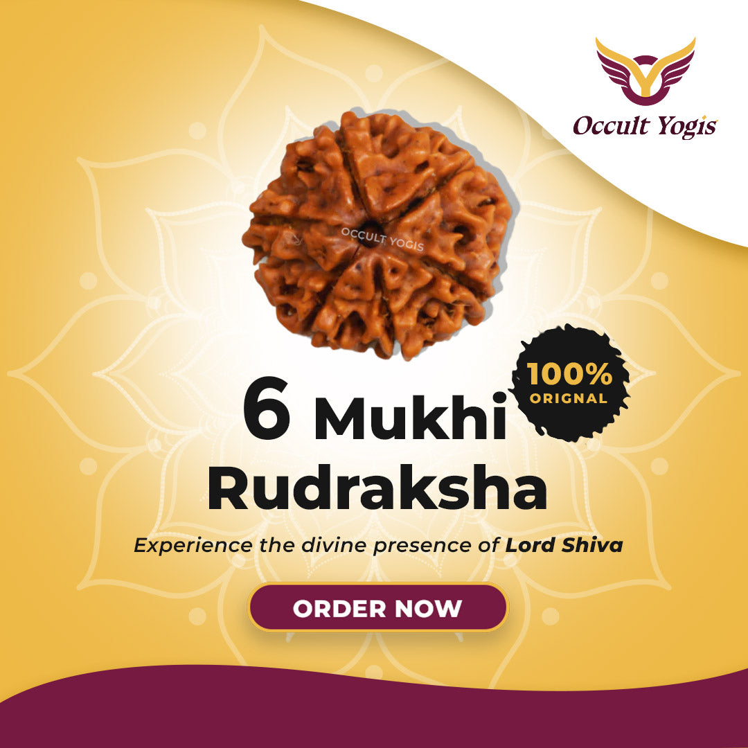 6 Mukhi Nepali Rudraksha