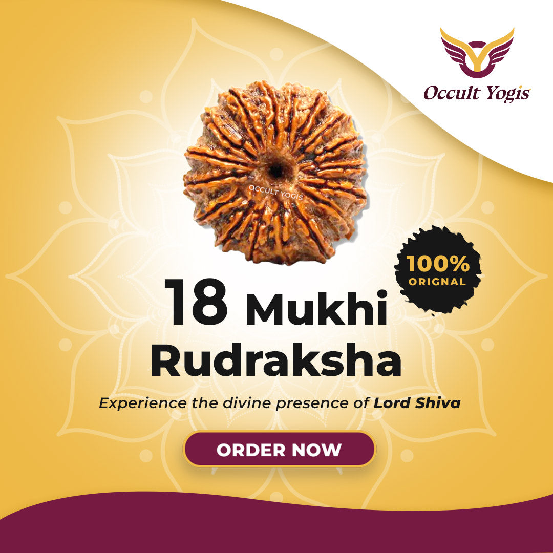18 Mukhi Indonesian Rudraksha