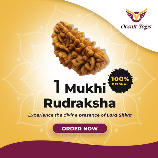 1 Mukhi Rudraksha