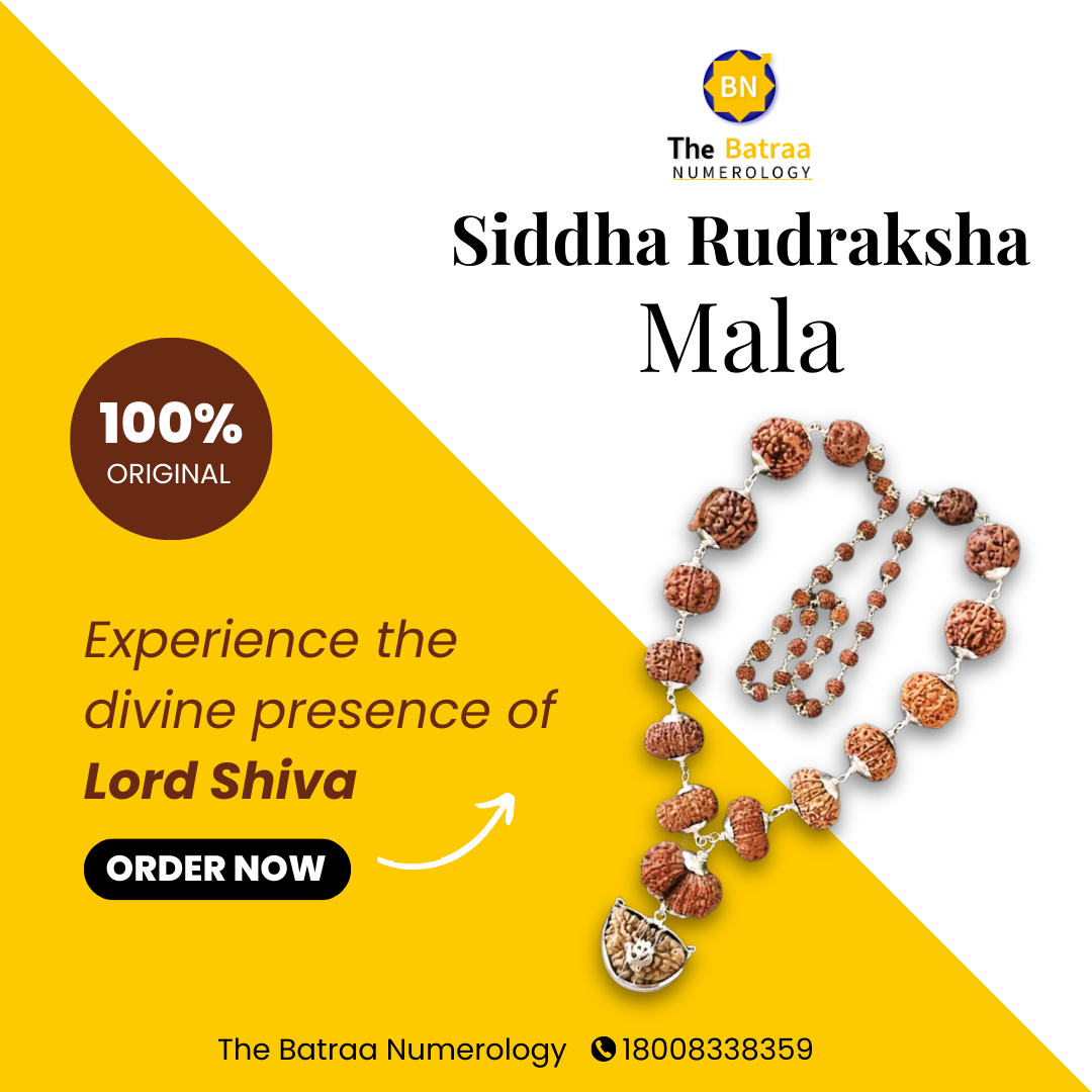 Siddha Mala in silver + Silver Rudraksha