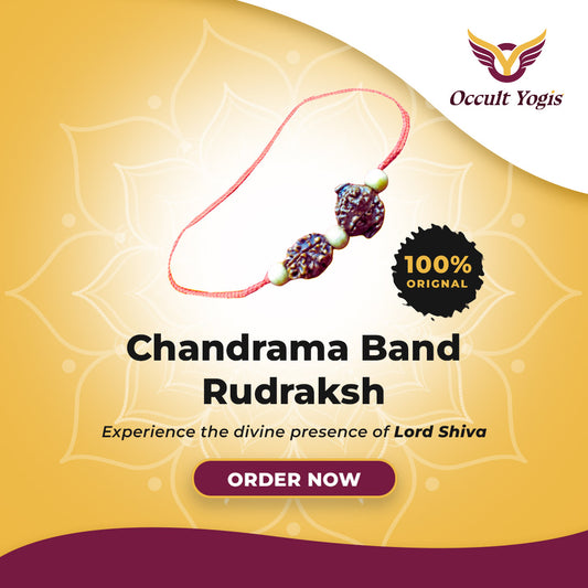 Chandrama Band Rudraksha